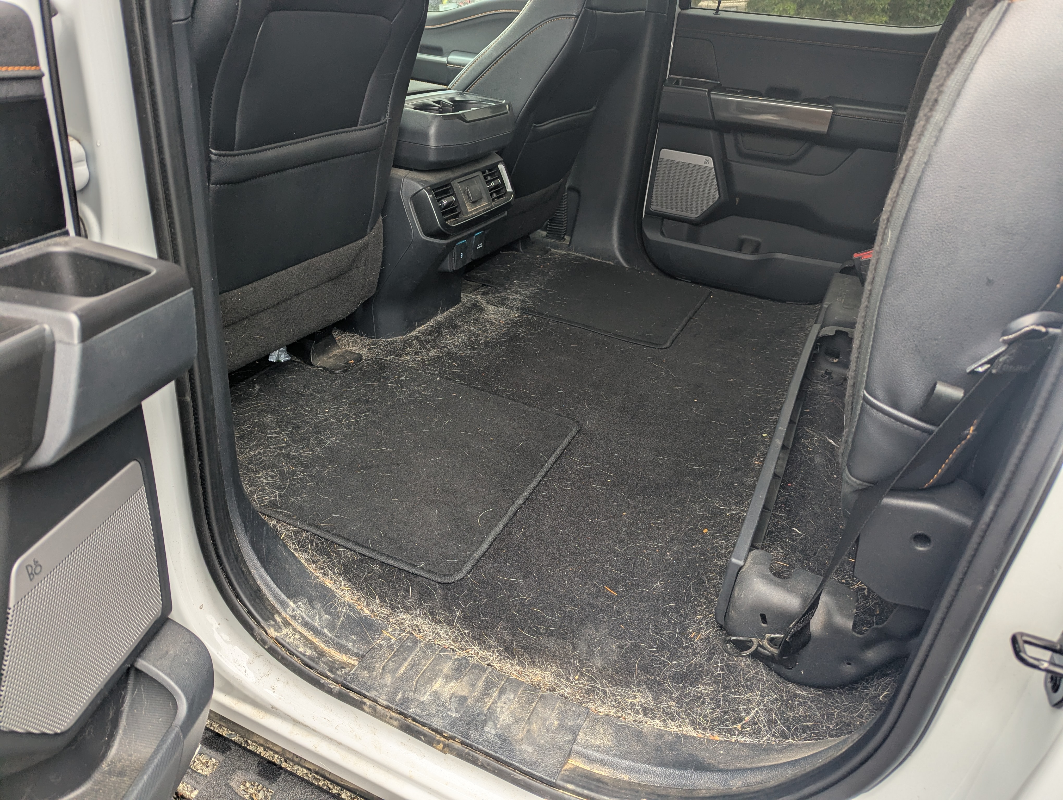 PXL_20250901_154417616.MP (1)